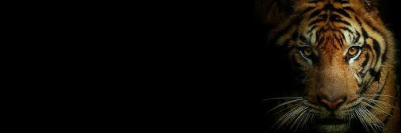 RaquelIsidoro_'s profile banner image