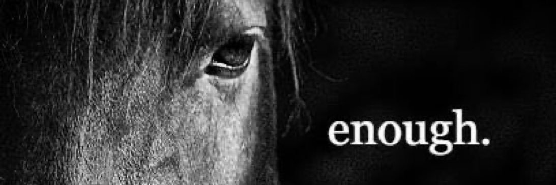 CrustyGnusty's profile banner image