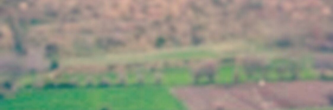 turki205010's profile banner image