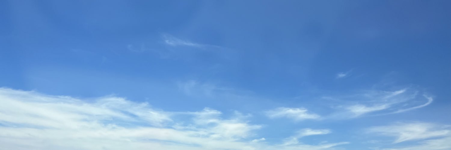 🎀🧸𝕊𝔸𝕂𝕌ℝ𝔸🌸🩷 banner