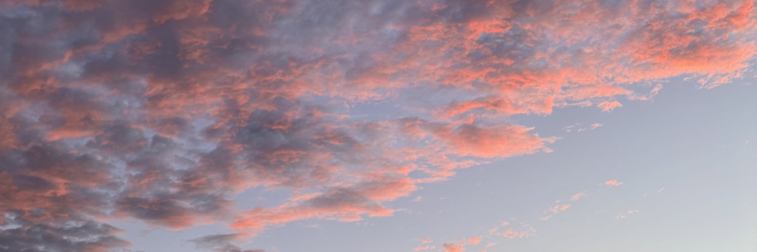 Rhett McLaughlin banner