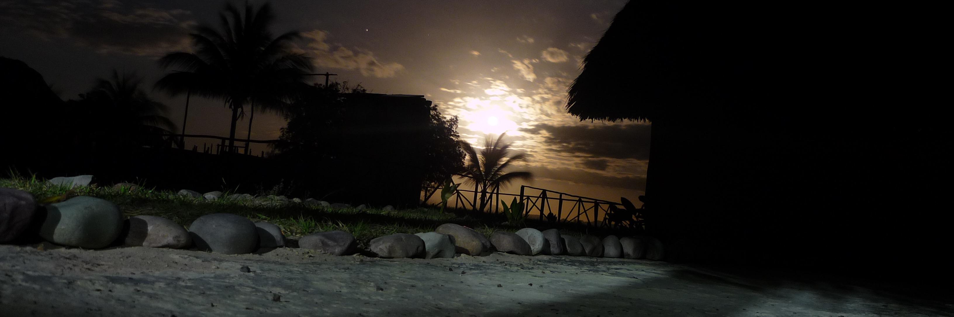 matthew_callen's profile banner image