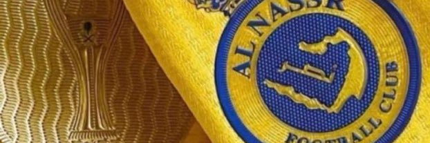علي بن يحيى الأسلمي🇸🇦💛💙 banner