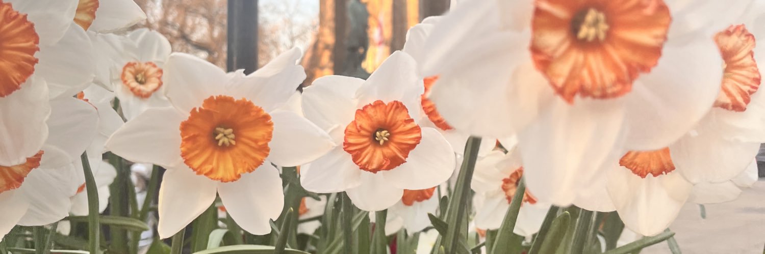 bethharrison213's profile banner image