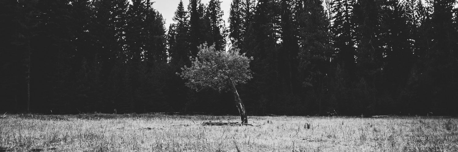 MadisonJRickert's profile banner image