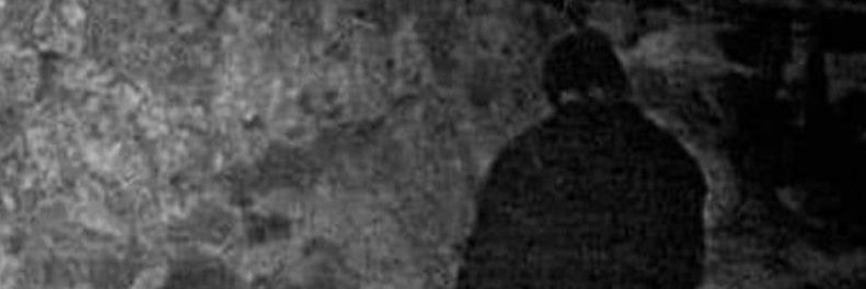 Michael C. Williams's banner