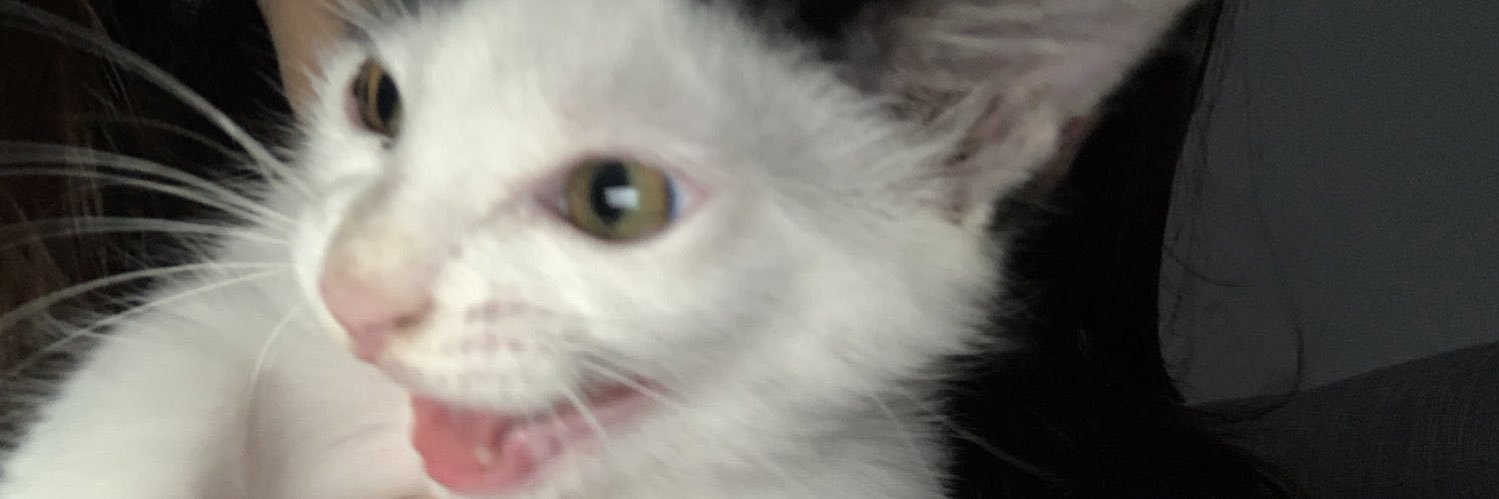mjhtt_a's profile banner image