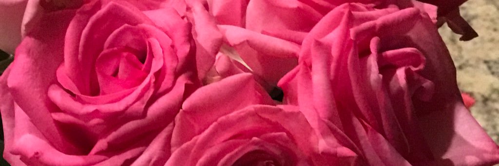 MrsGiampapa's profile banner image