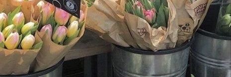 ꪔ̤̫ banner