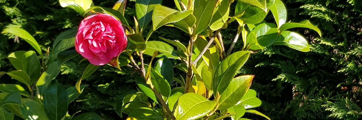 LyndseyCromar's profile banner image