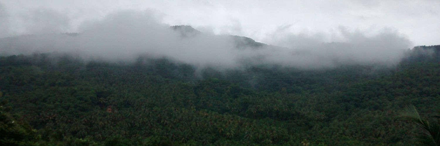 giriettan's profile banner image