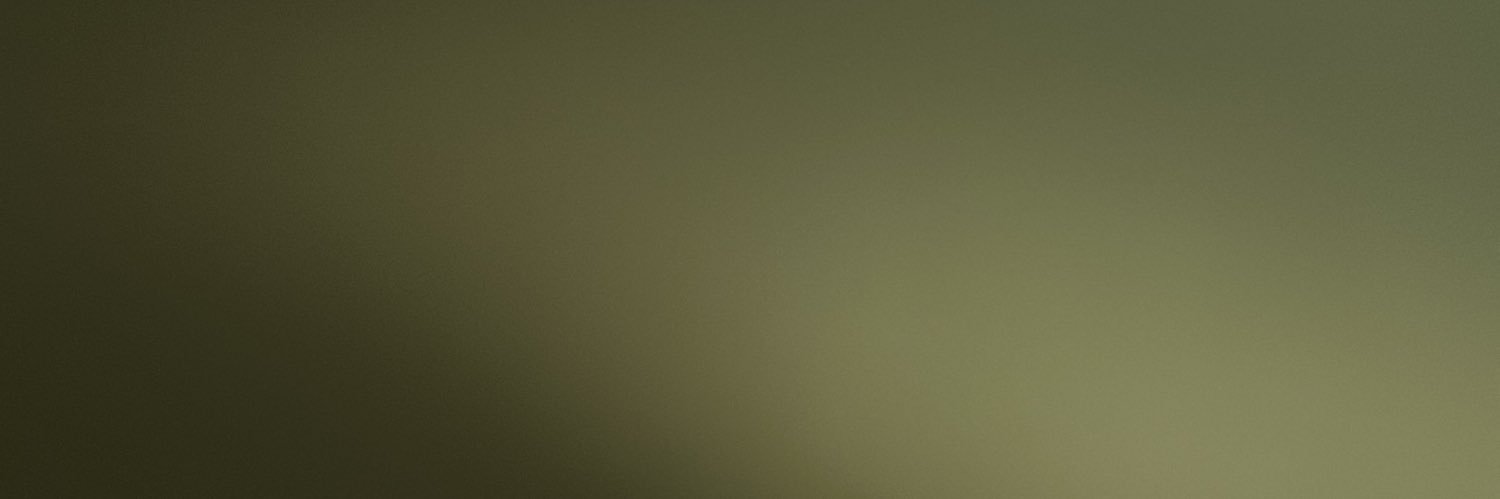 🇺🇸🇺🇸🇺🇸 banner