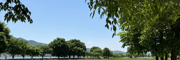 hikari581 Profile Banner