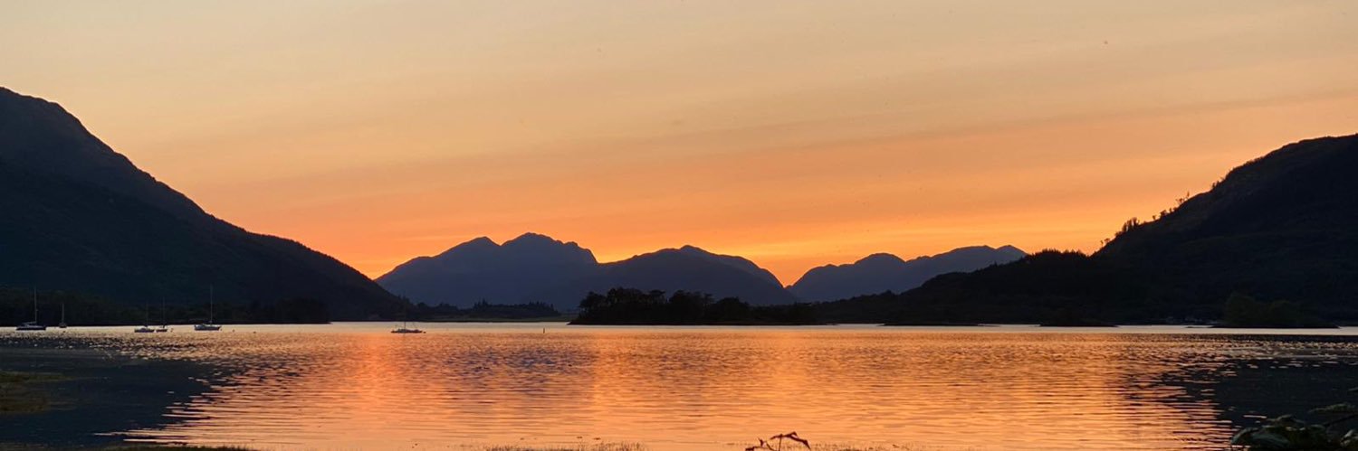 Alfred Fillol banner