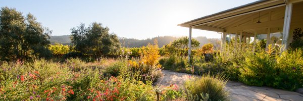 Larkmead Profile Banner
