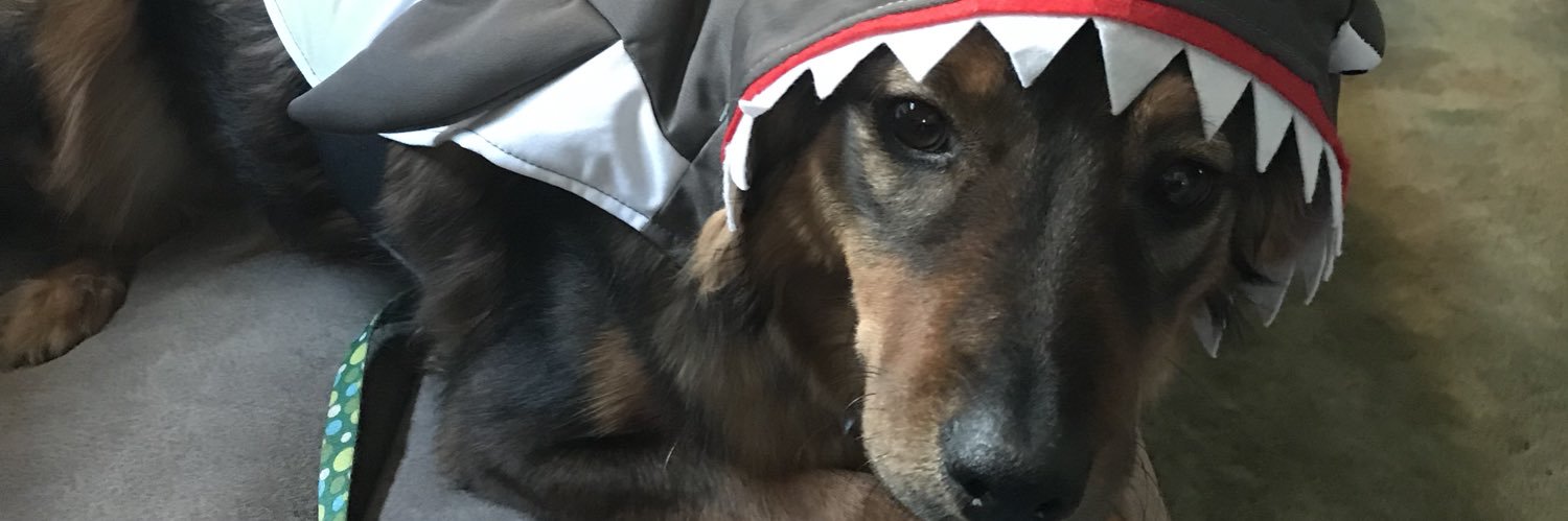 huntergrace19's profile banner image