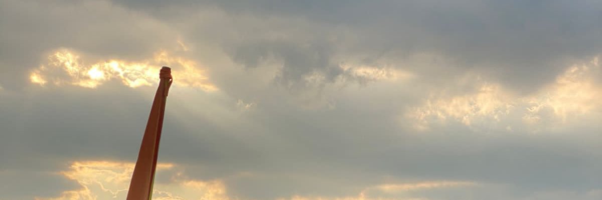 daff banner