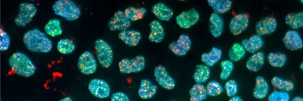 LabKauppi Profile Banner