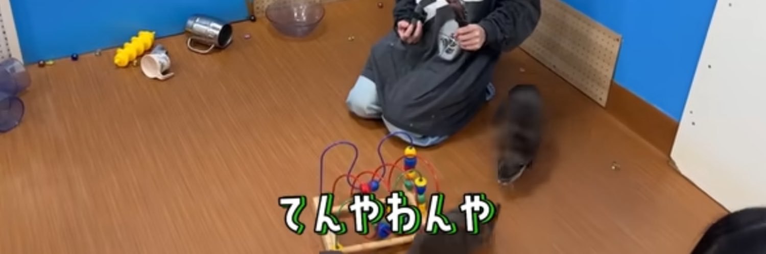 あちゃY1M2 banner