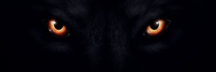 🦁CAZOLION🦁 ☄ banner