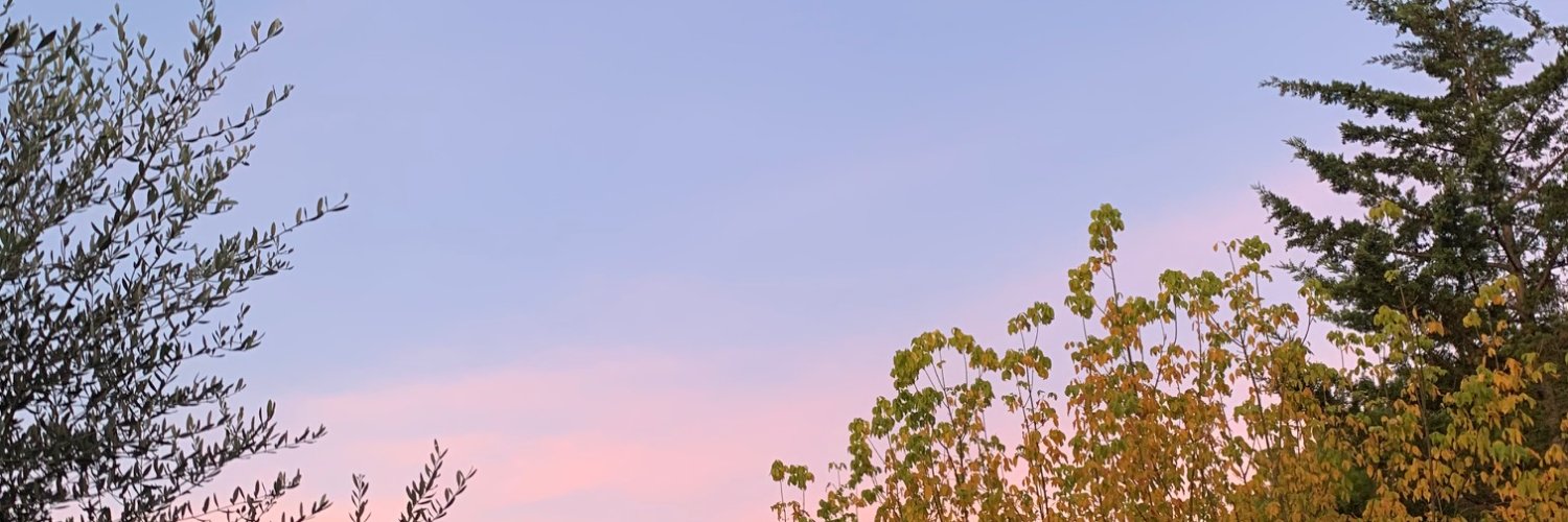 _MariaCristinaS's profile banner image