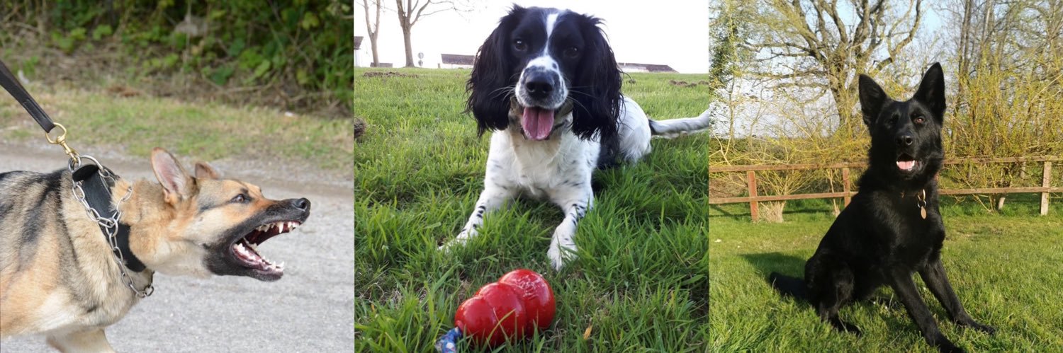 Warwickshire Police Dog Section banner