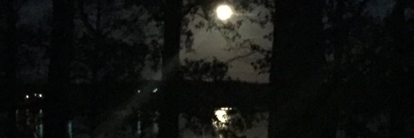 mahua_deyMD Profile Banner