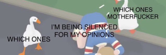 Tyler Swift banner