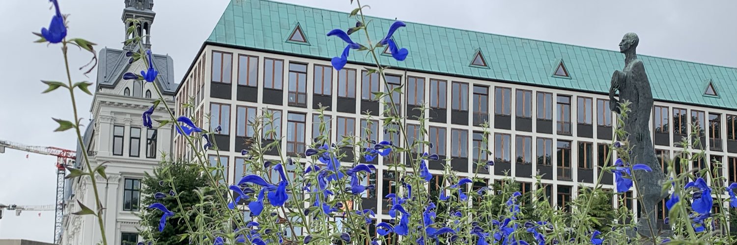 Helene Sand Andresen (private account) banner