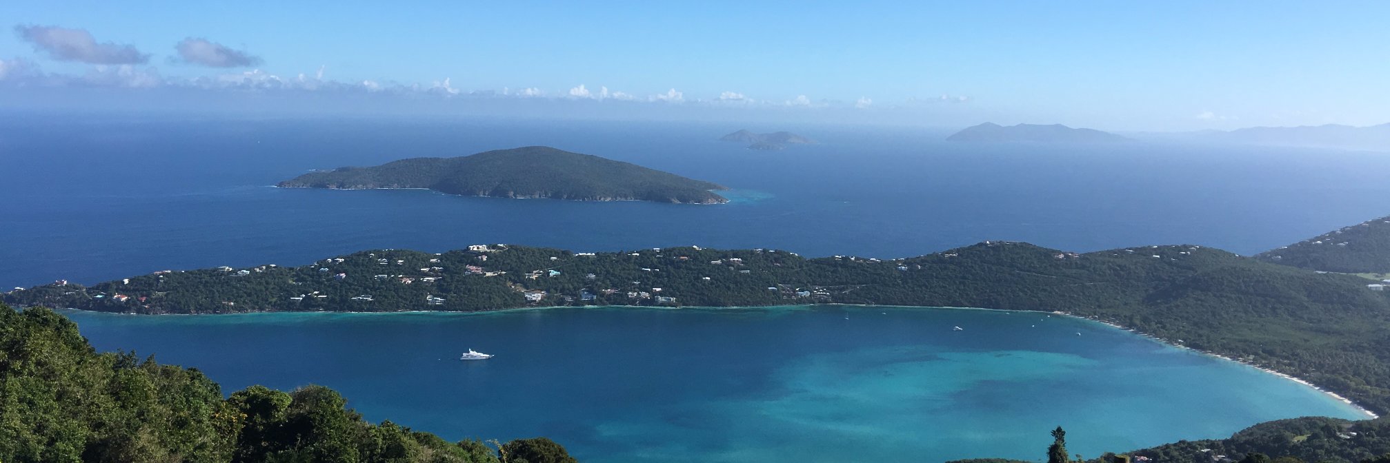 nick turpchinoff banner