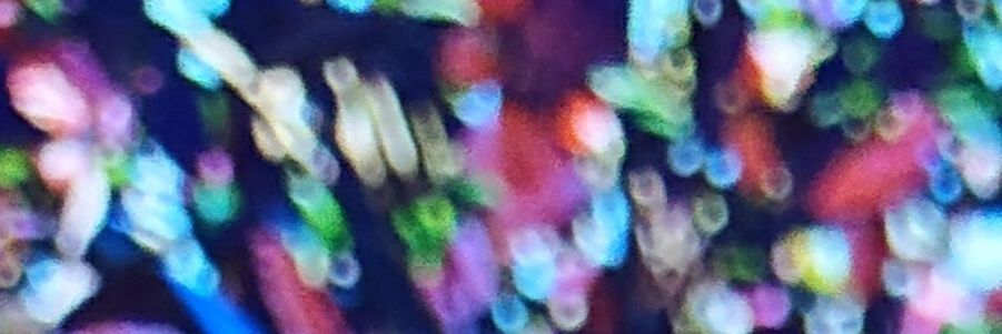 しもつか零 banner