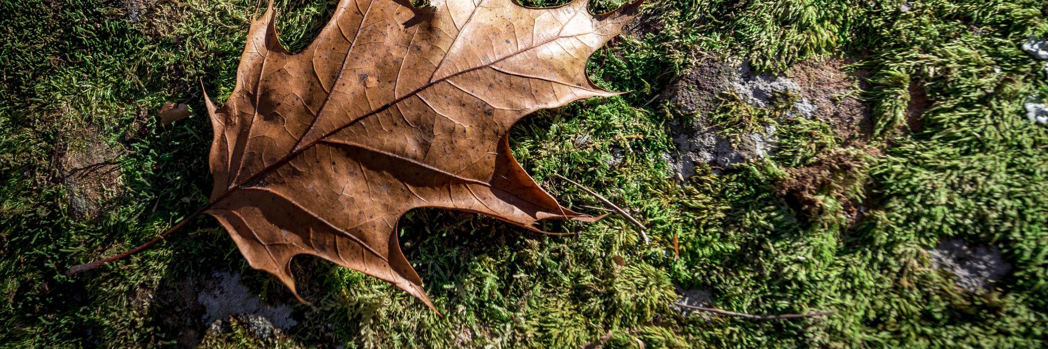 aaronuws's profile banner image