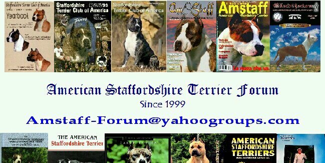 AmstaffForum's profile banner image