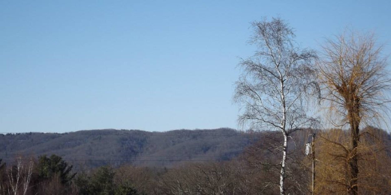 _mindyf1424's profile banner image