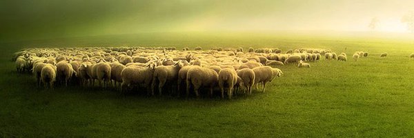 AgEconSoc Profile Banner