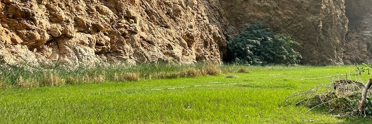 MHYSaif's profile banner image