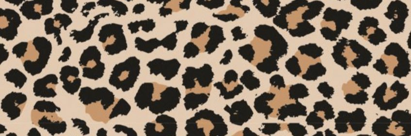 Tillybirdy's profile banner image