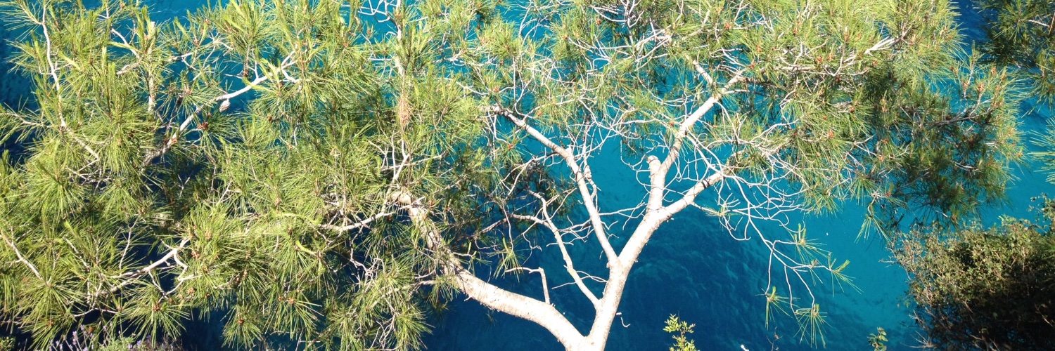 WestHot's profile banner image