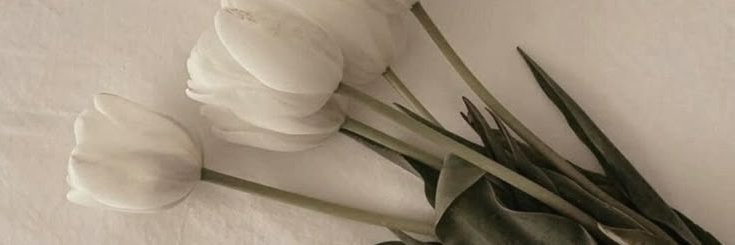 Mai | MysrNwr banner