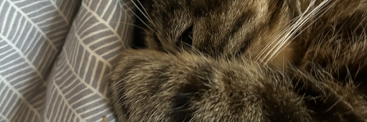 whosanouk's profile banner image