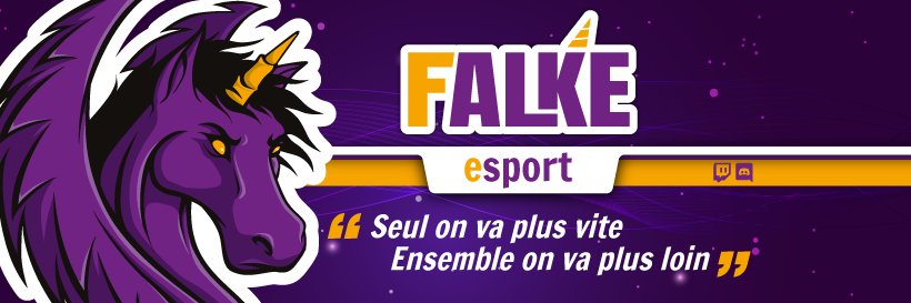 Falke eSport banner