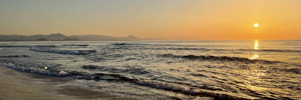 dr_y_young Profile Banner