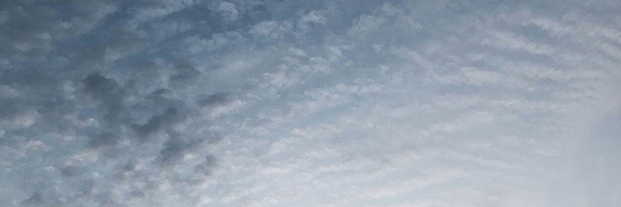 textmepls2's profile banner image