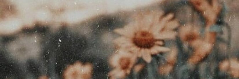 abbie_powell_'s profile banner image