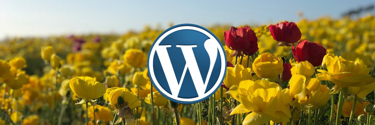CarlsbadWP's profile banner image