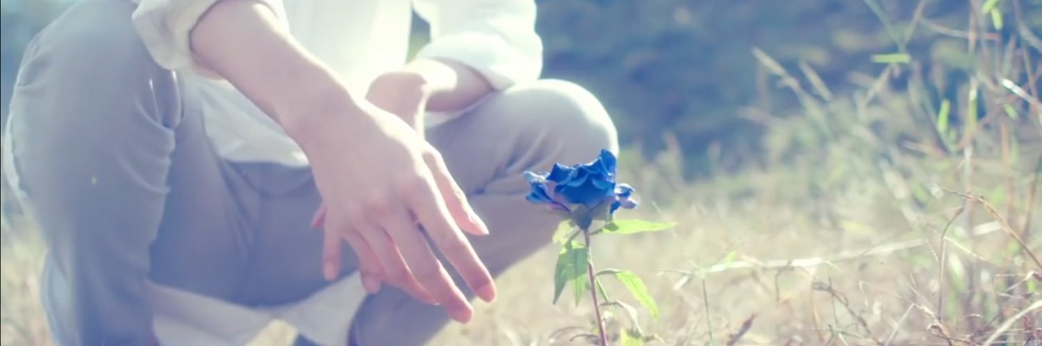 ri___gyu's profile banner image