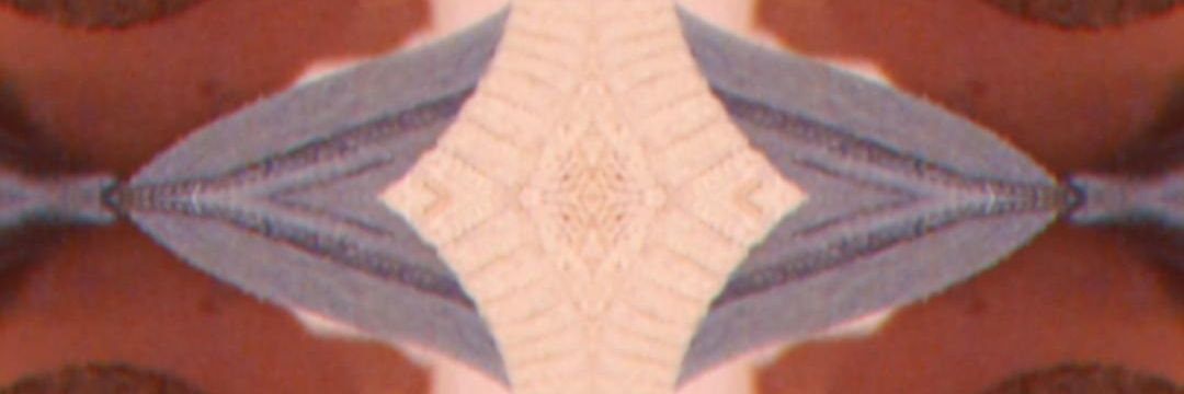 maldonadoseas's profile banner image