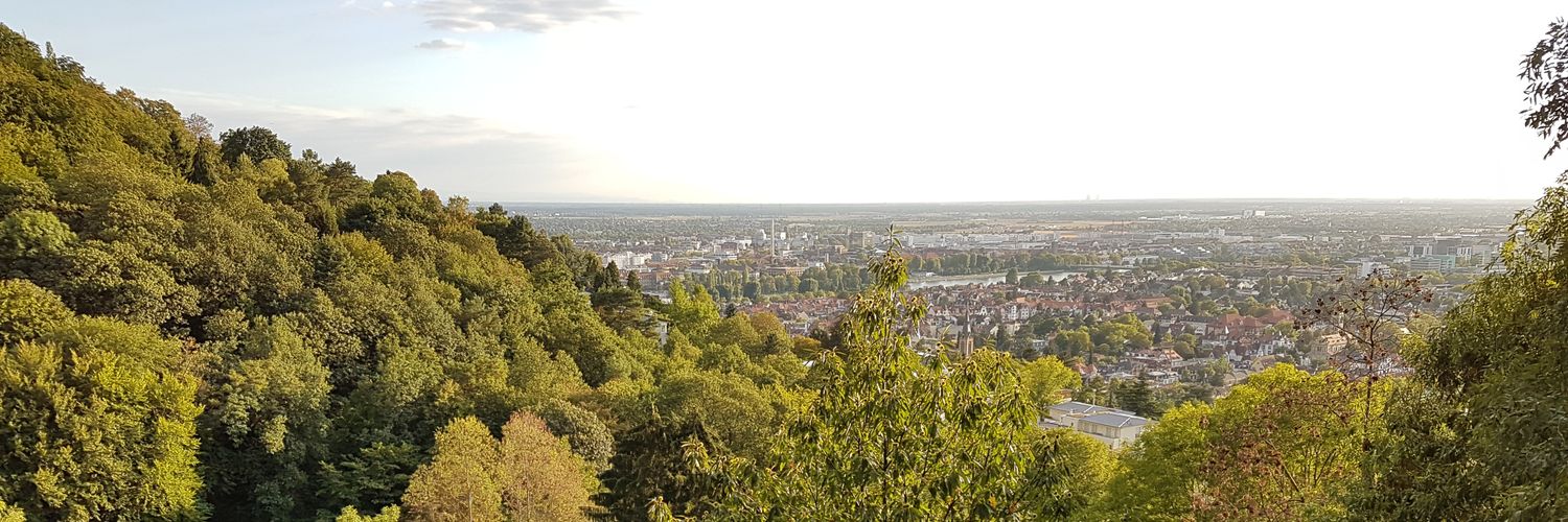 Daniel_Onoro's profile banner image