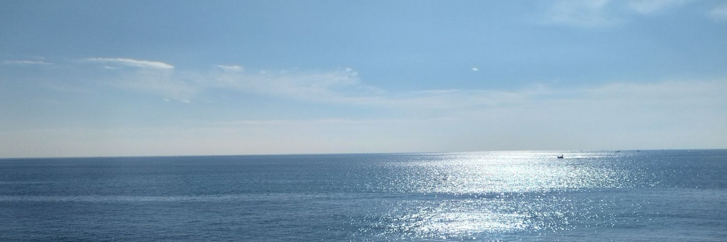 noriccot's profile banner image
