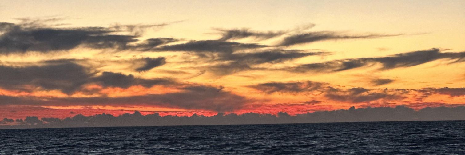 RachAnn730's profile banner image